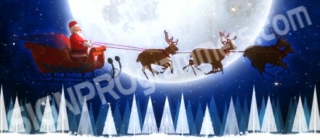 reindeer animation