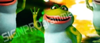 Frog background
