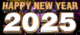 new year 2025 ball drops