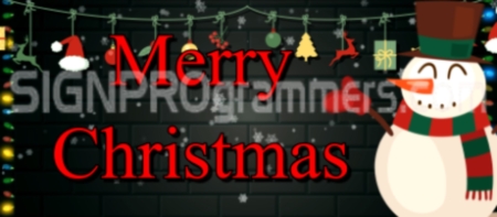 Merry Christmas From