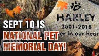 Sept 10 is national pet memorial day