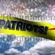 Go Patriots with banner