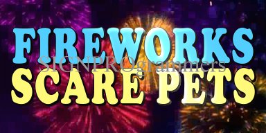 08-044 FIREWORKS SAFETY FOR PETS 192X384 14