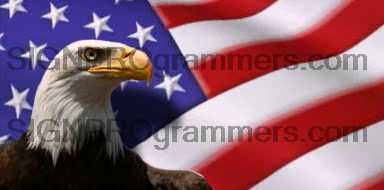 eagle flag background