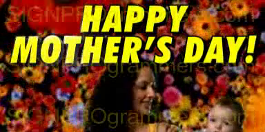 10-05-12-501 MOTHERS DAY-BRIGHT DAISIES-192×384 rgb.mp4To.m4v