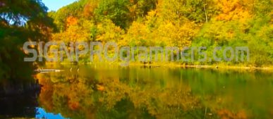 Autumn River Scene