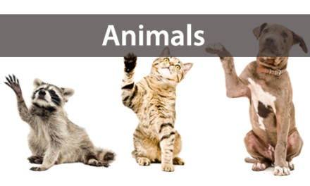 ANIMALS