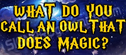 Owl Magic
