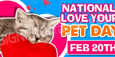 Love your Pet Day Cat