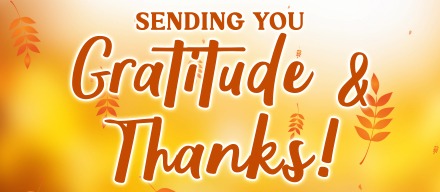 gratitude n thanks