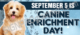 September 5 is canine enrichment day