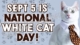 sept 5 is national white cat day