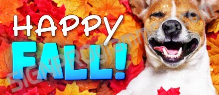 happy fall dog