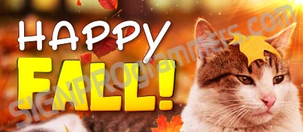 happy fall cat
