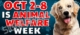 animal welfare week
