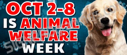 animal welfare week