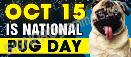 national pug day