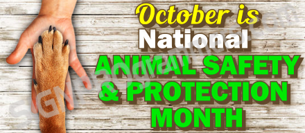 animal and safety protection month