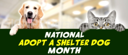October is national adopt a shelter dog month