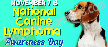 canine lymphoma day
