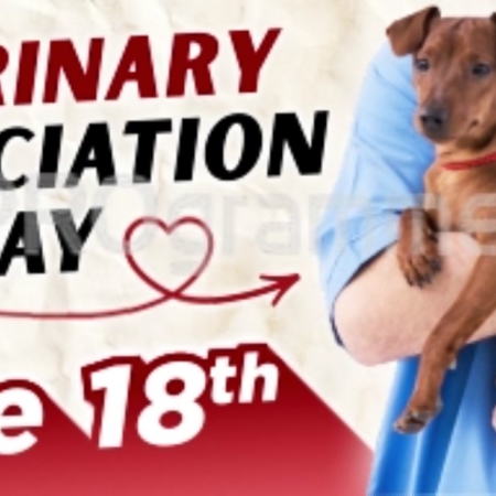 vet appreciation day