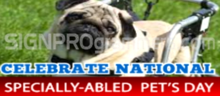national specially abled pets day