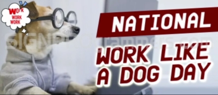 national work like a dog day
