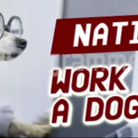 national work like a dog day