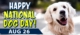 national dog day