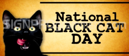 black cat appreciation day