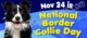 border collie day