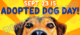 sept 23 is adopted dog month